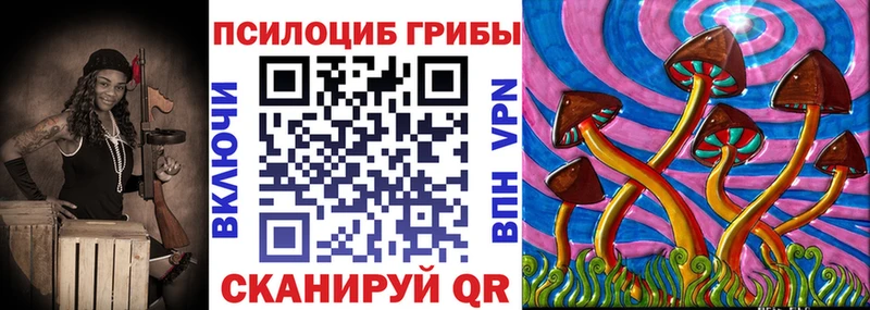 Псилоцибиновые грибы Psilocybe  где можно купить   Хвалынск 